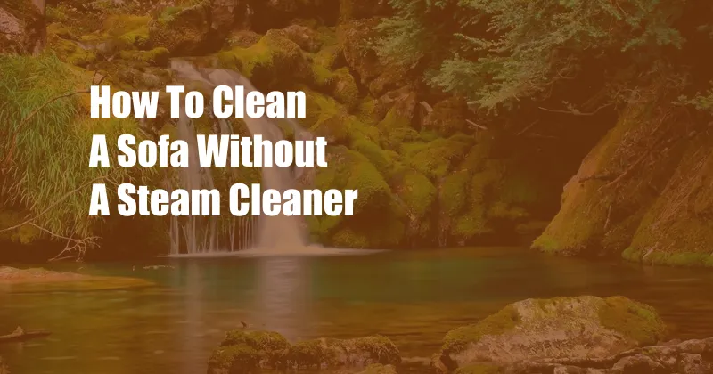 How To Clean A Sofa Without A Steam Cleaner