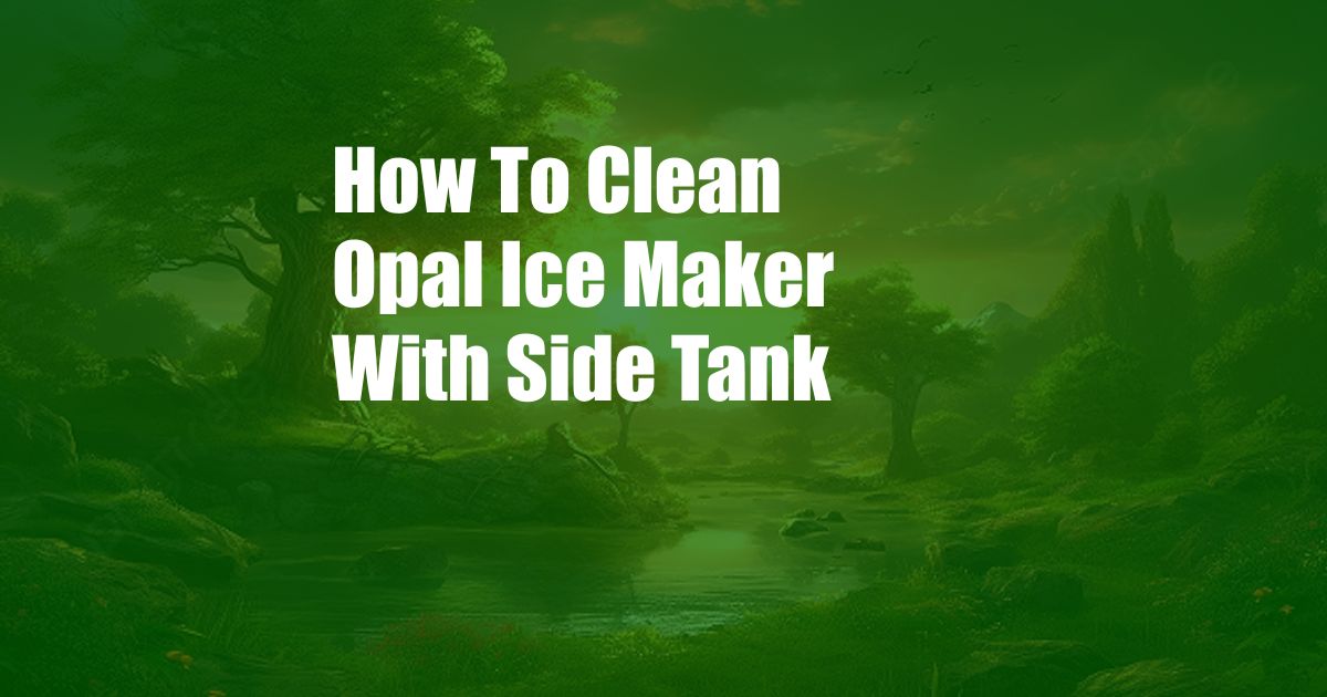 How To Clean Opal Ice Maker With Side Tank