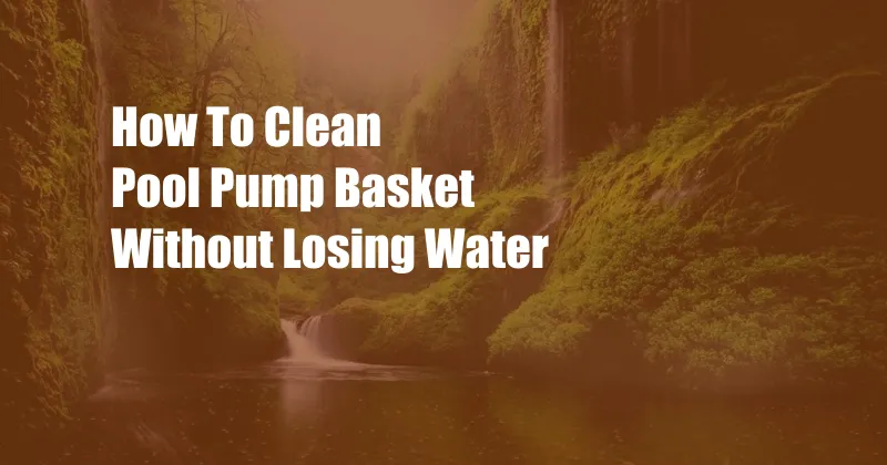 How To Clean Pool Pump Basket Without Losing Water