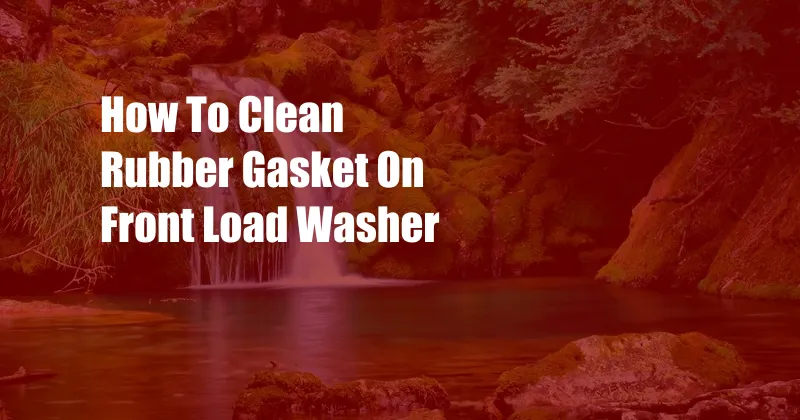 How To Clean Rubber Gasket On Front Load Washer