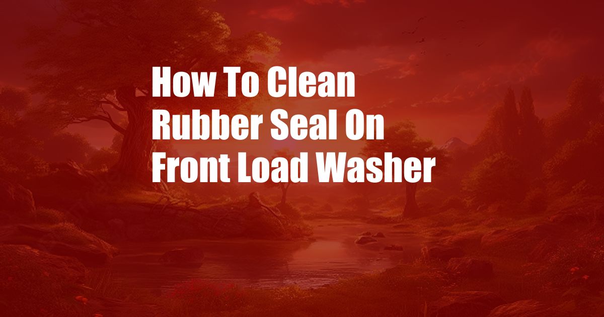 How To Clean Rubber Seal On Front Load Washer