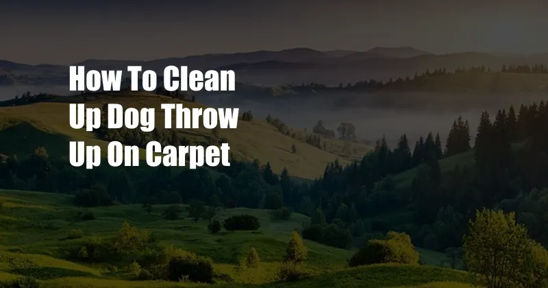 How To Clean Up Dog Throw Up On Carpet