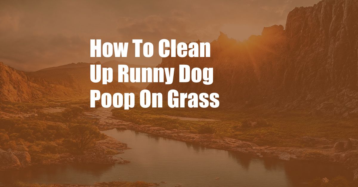 How To Clean Up Runny Dog Poop On Grass