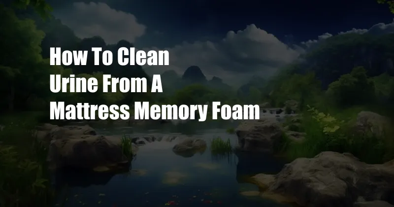 How To Clean Urine From A Mattress Memory Foam