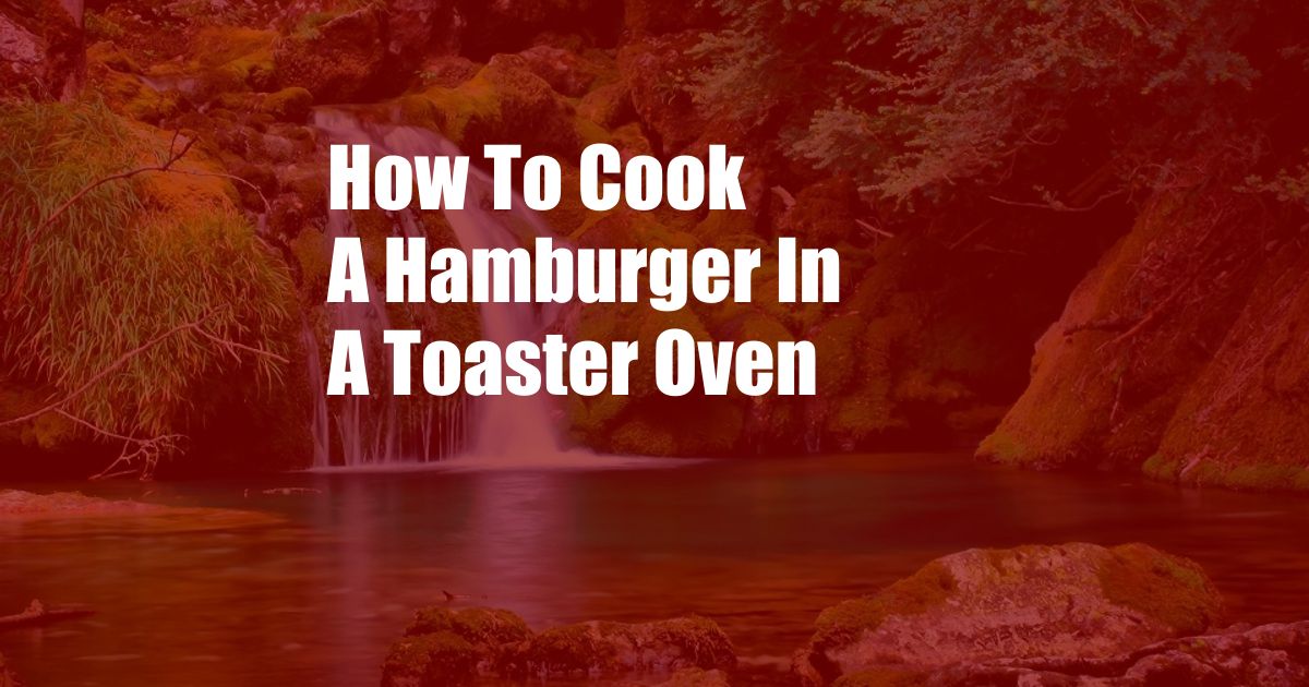 How To Cook A Hamburger In A Toaster Oven