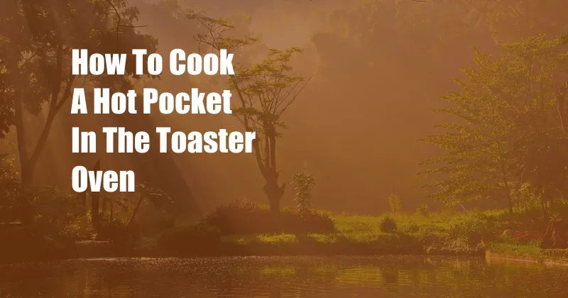 How To Cook A Hot Pocket In The Toaster Oven