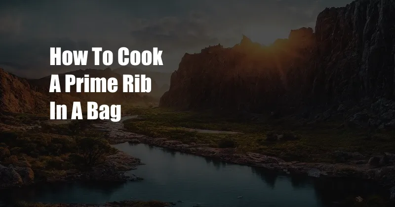 How To Cook A Prime Rib In A Bag