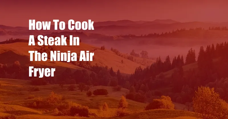 How To Cook A Steak In The Ninja Air Fryer