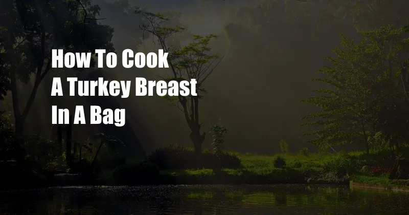 How To Cook A Turkey Breast In A Bag