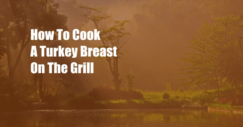 How To Cook A Turkey Breast On The Grill