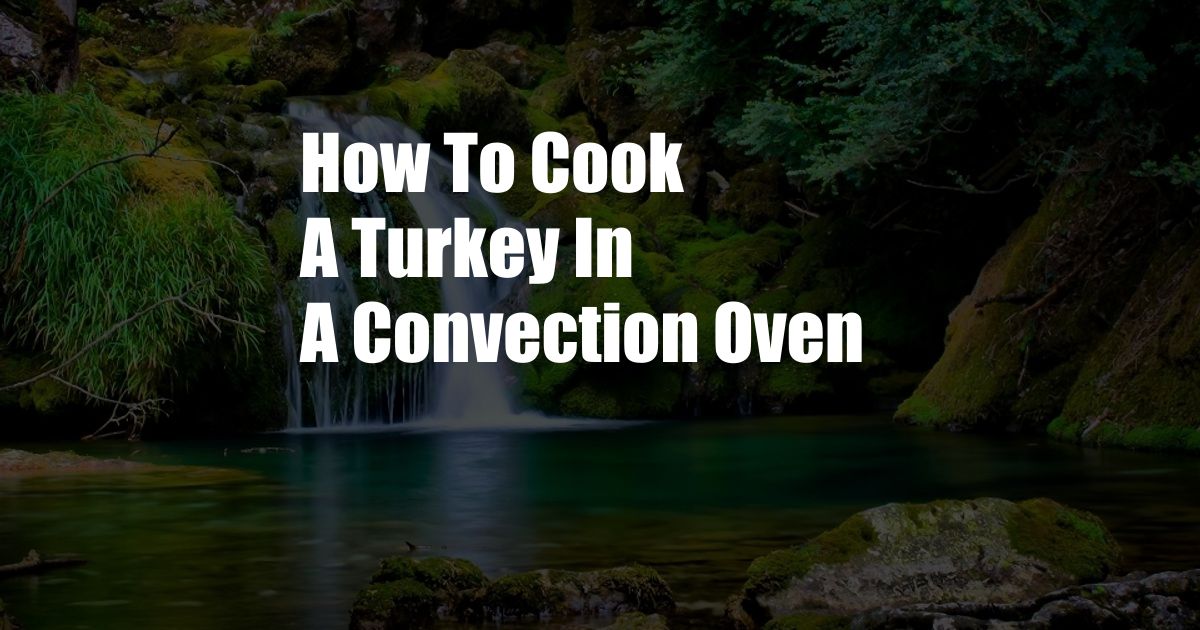 How To Cook A Turkey In A Convection Oven