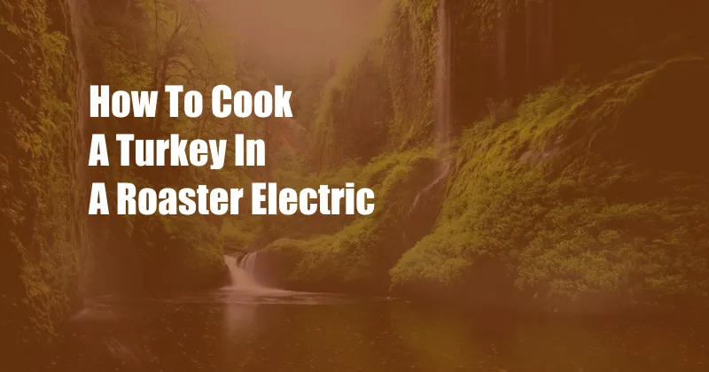 How To Cook A Turkey In A Roaster Electric