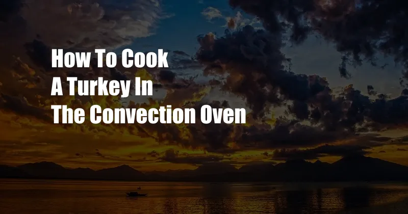 How To Cook A Turkey In The Convection Oven