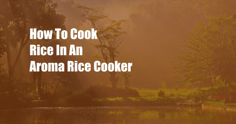 How To Cook Rice In An Aroma Rice Cooker