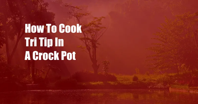 How To Cook Tri Tip In A Crock Pot