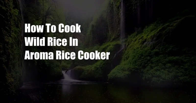 How To Cook Wild Rice In Aroma Rice Cooker