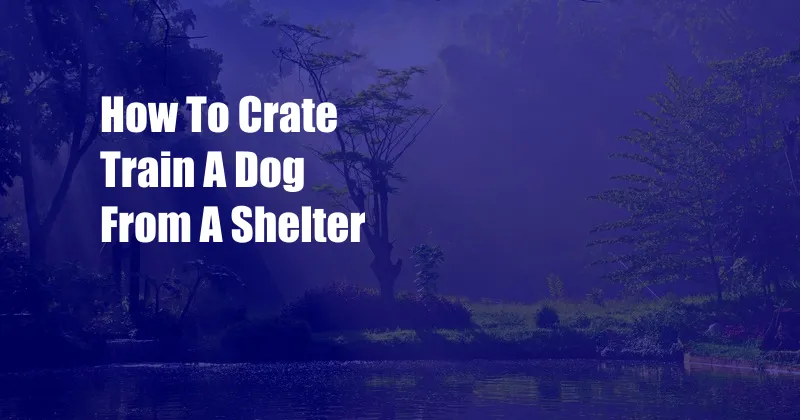 How To Crate Train A Dog From A Shelter