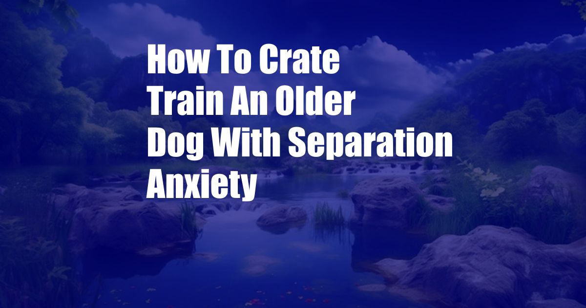 How To Crate Train An Older Dog With Separation Anxiety