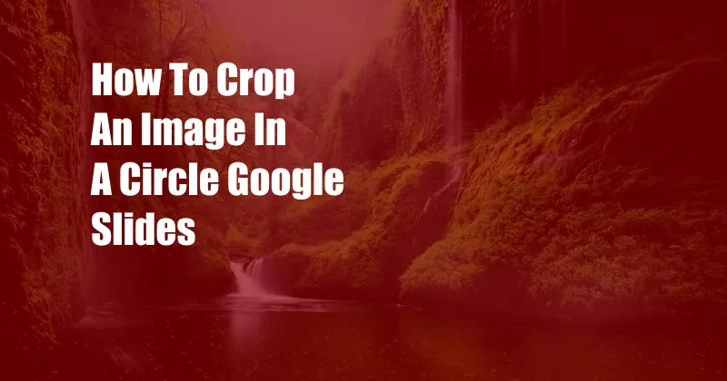 How To Crop An Image In A Circle Google Slides