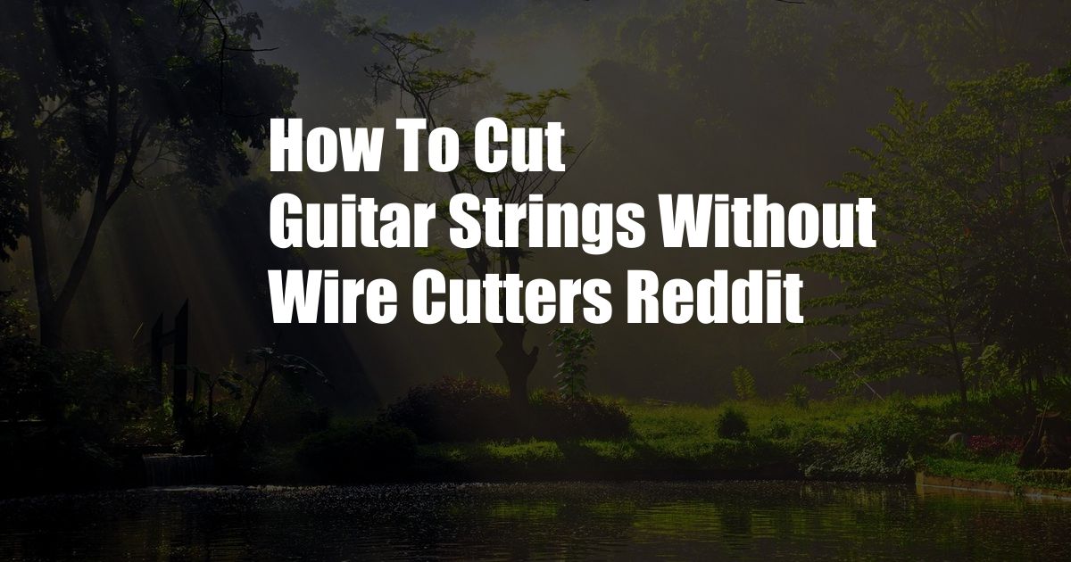 How To Cut Guitar Strings Without Wire Cutters Reddit