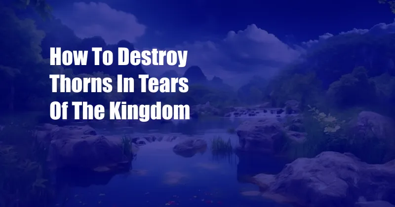 How To Destroy Thorns In Tears Of The Kingdom