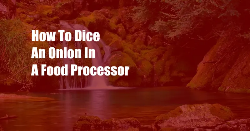 How To Dice An Onion In A Food Processor