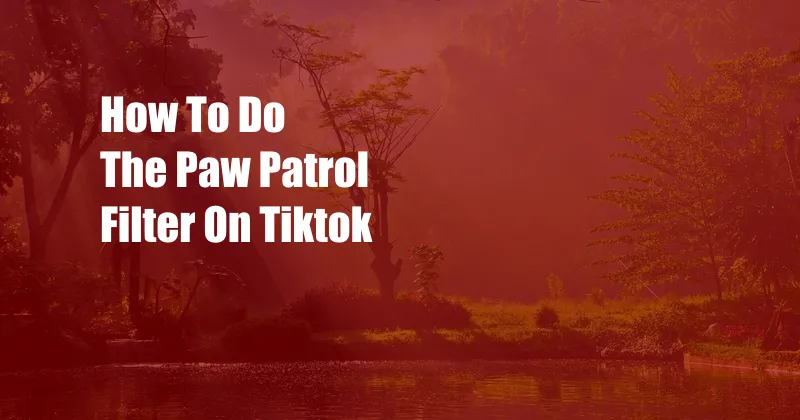 How To Do The Paw Patrol Filter On Tiktok