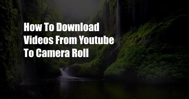 How To Download Videos From Youtube To Camera Roll