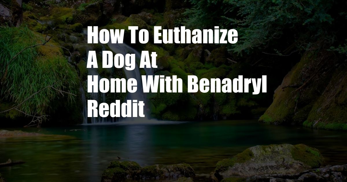 How To Euthanize A Dog At Home With Benadryl Reddit