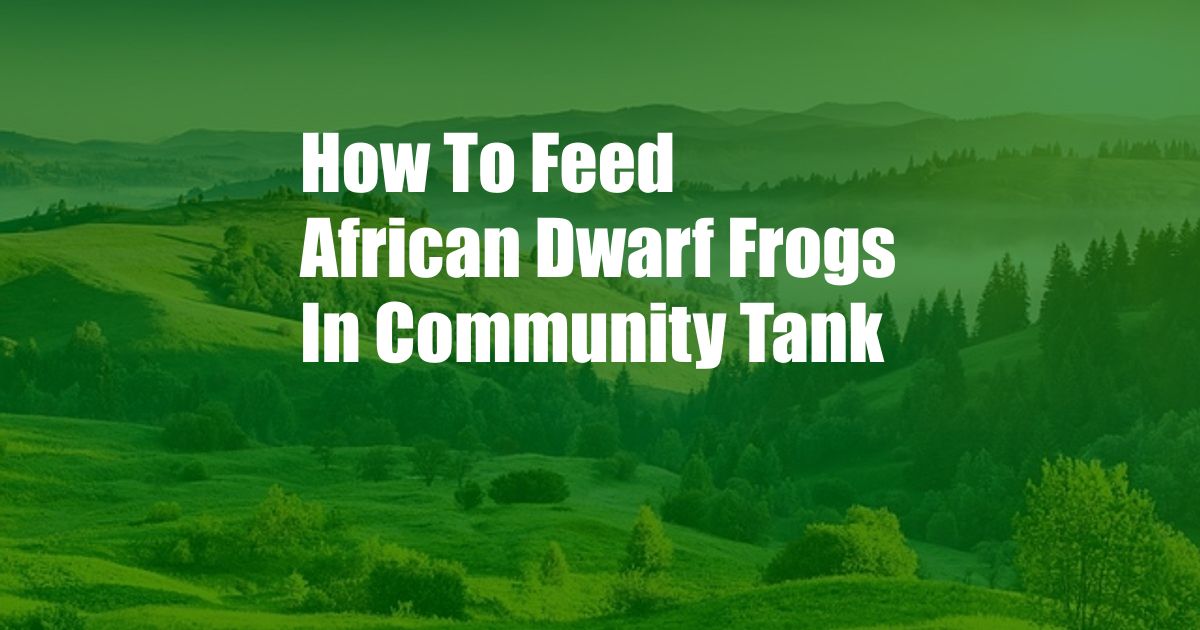 How To Feed African Dwarf Frogs In Community Tank