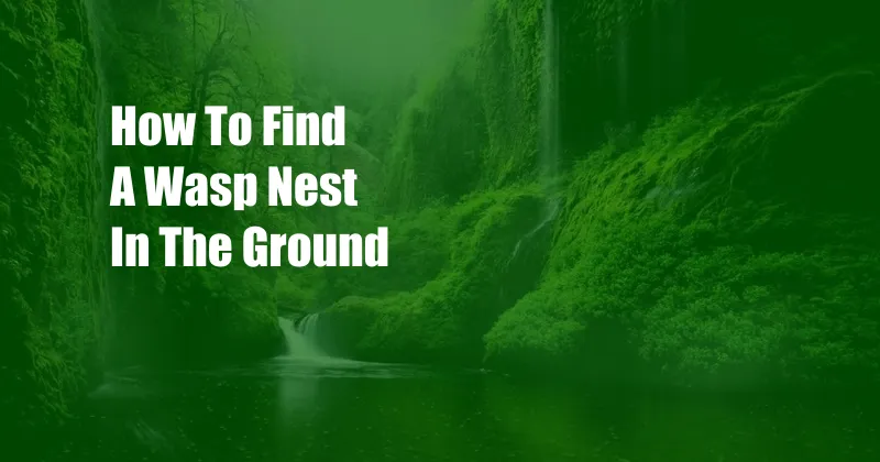 How To Find A Wasp Nest In The Ground