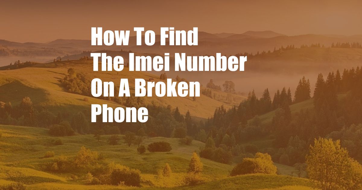 How To Find The Imei Number On A Broken Phone