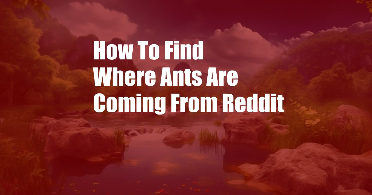 How To Find Where Ants Are Coming From Reddit
