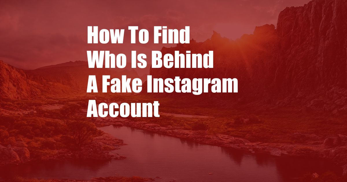 How To Find Who Is Behind A Fake Instagram Account