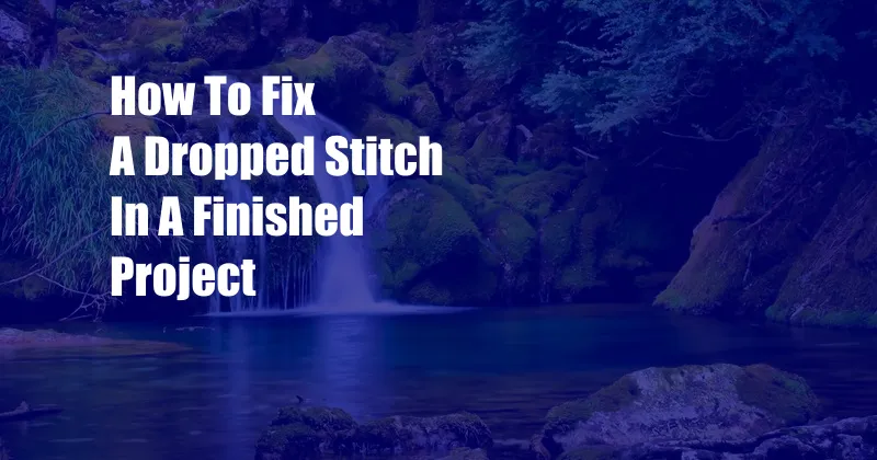 How To Fix A Dropped Stitch In A Finished Project