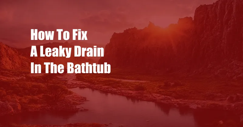 How To Fix A Leaky Drain In The Bathtub