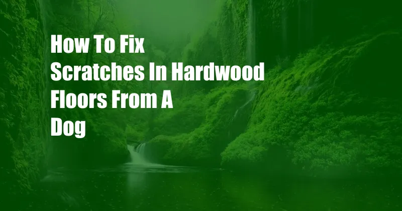 How To Fix Scratches In Hardwood Floors From A Dog