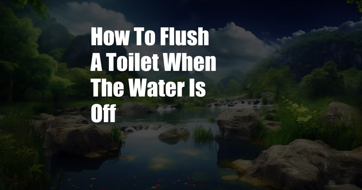 How To Flush A Toilet When The Water Is Off