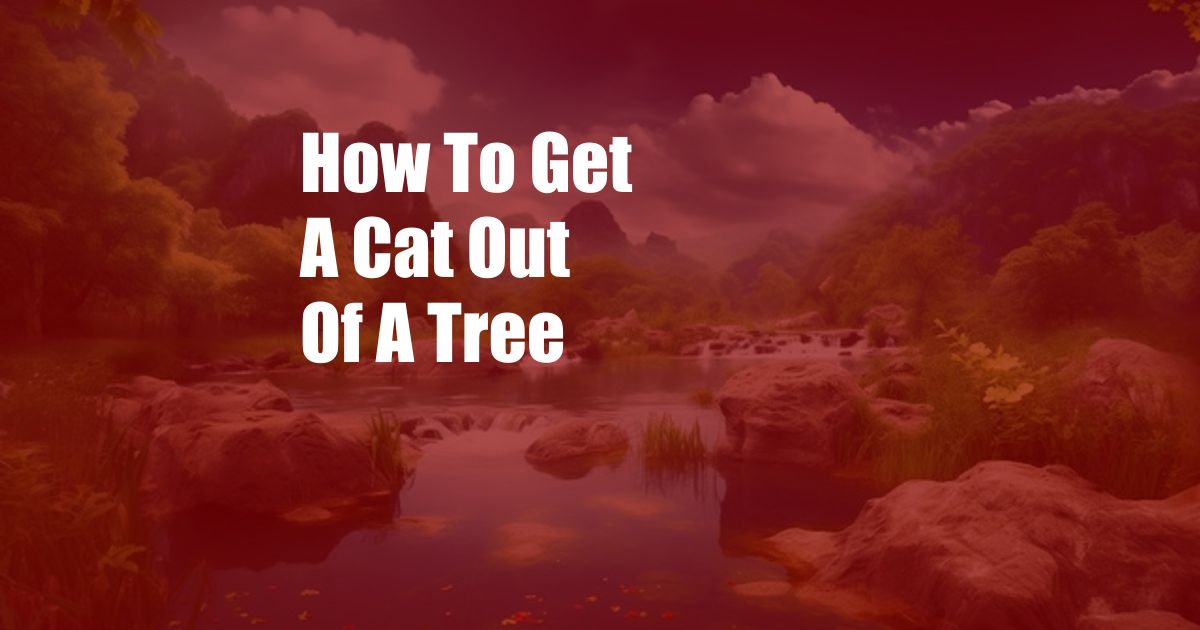 How To Get A Cat Out Of A Tree
