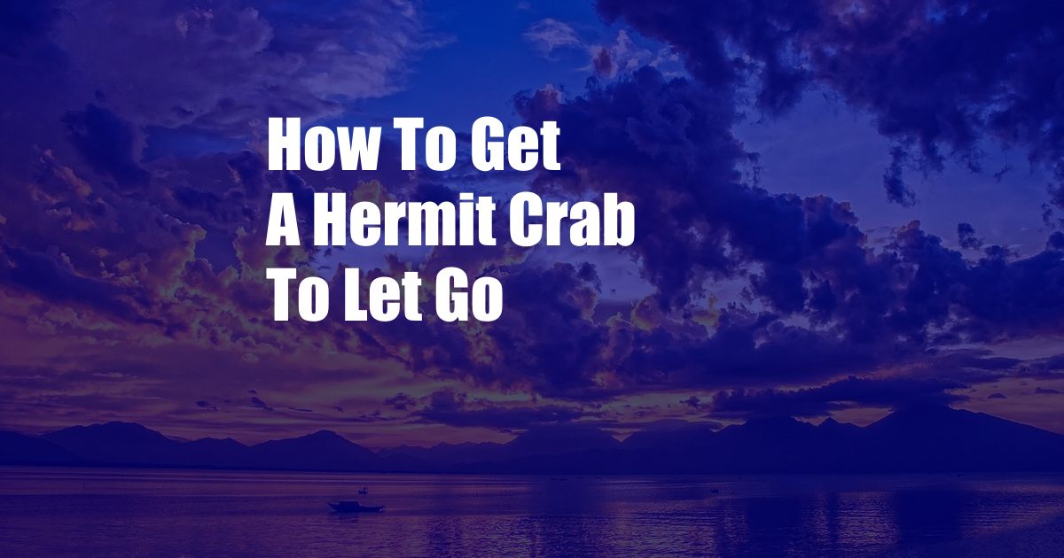 How To Get A Hermit Crab To Let Go