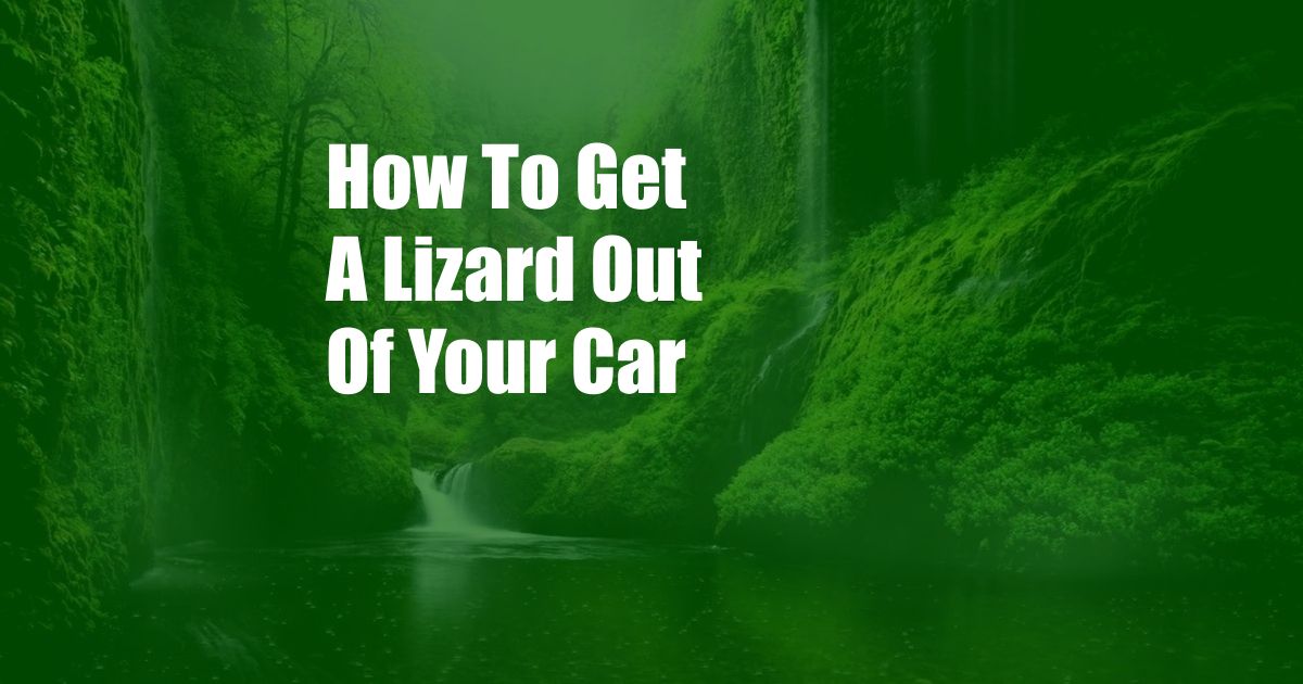 How To Get A Lizard Out Of Your Car