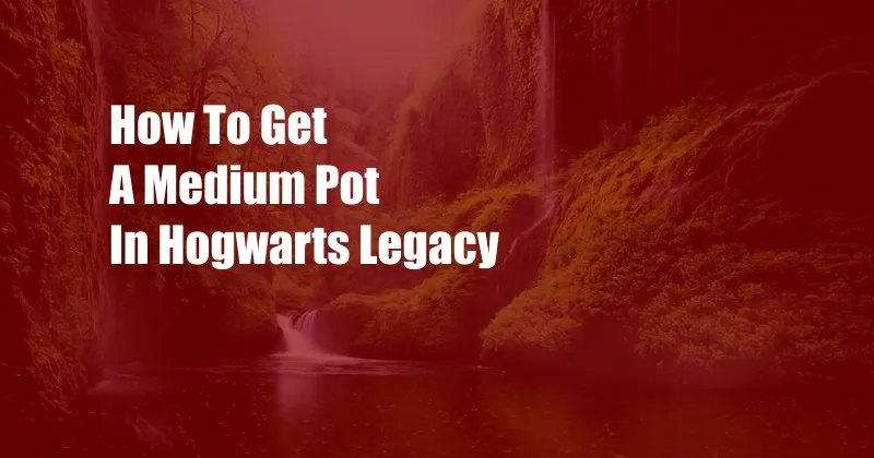 How To Get A Medium Pot In Hogwarts Legacy