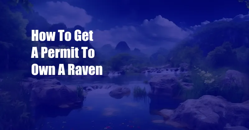 How To Get A Permit To Own A Raven