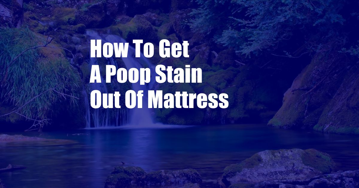 How To Get A Poop Stain Out Of Mattress