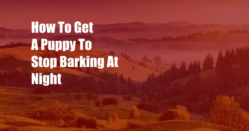 How To Get A Puppy To Stop Barking At Night