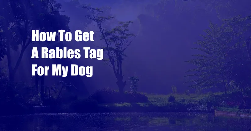 How To Get A Rabies Tag For My Dog