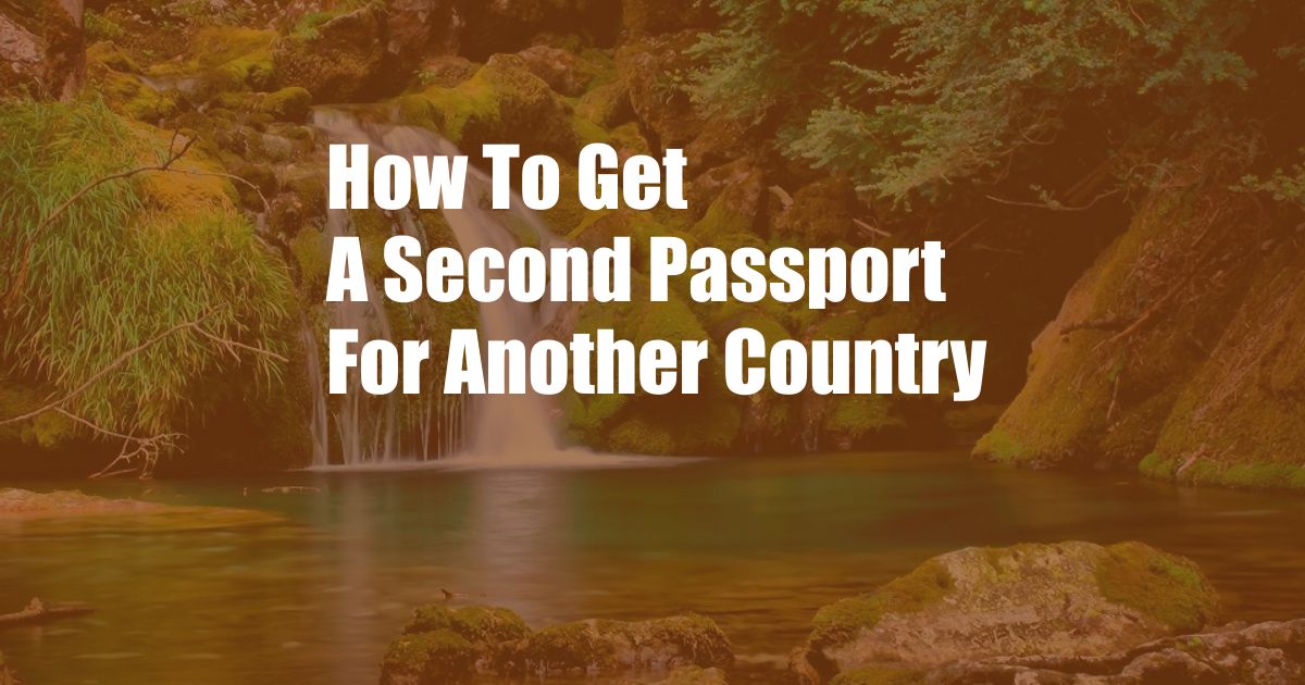 How To Get A Second Passport For Another Country