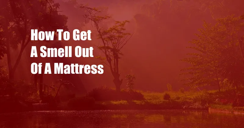 How To Get A Smell Out Of A Mattress