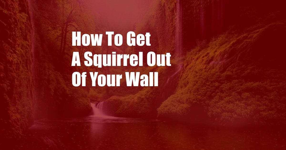 How To Get A Squirrel Out Of Your Wall