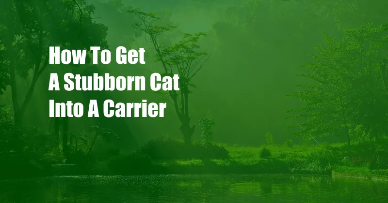 How To Get A Stubborn Cat Into A Carrier